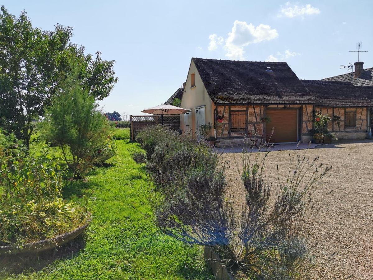 Gite De La Ferme De La Terve Bruailles المظهر الخارجي الصورة